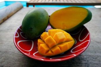 Полезные свойства и вред манго